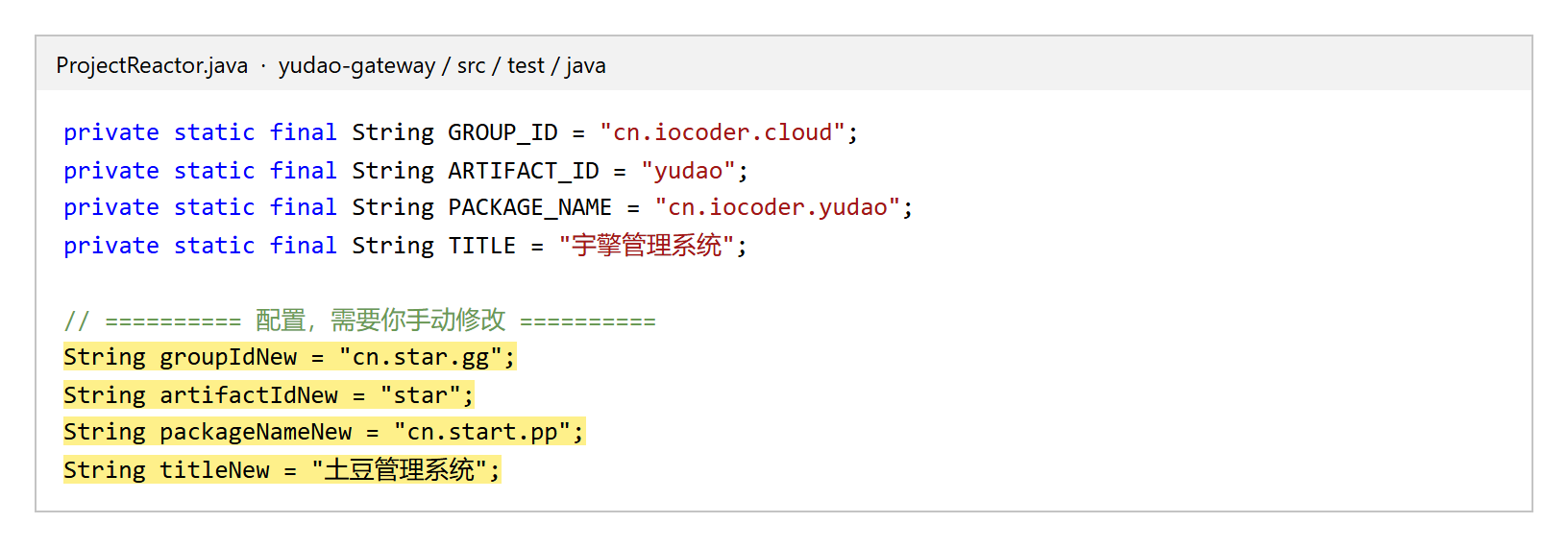 在 ProjectReactor 里填 New 参数